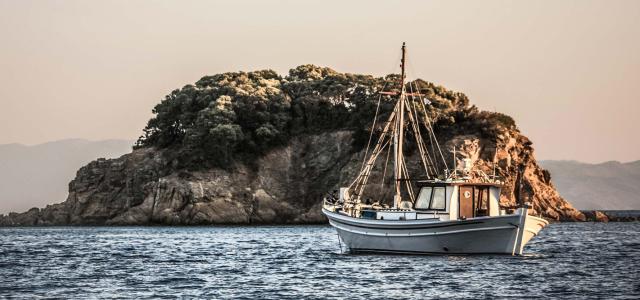 Charting Financial Freedom
